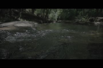movie_title