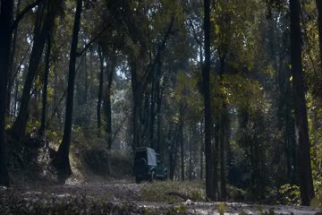 movie_title