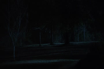 movie_title