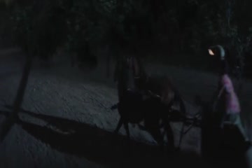 movie_title