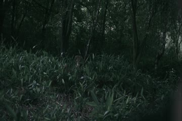 movie_title