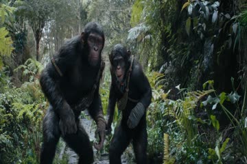 movie_title