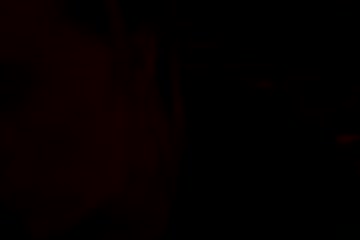 movie_title