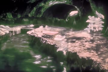 movie_title