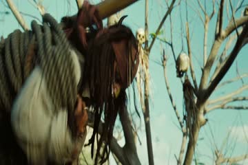 movie_title