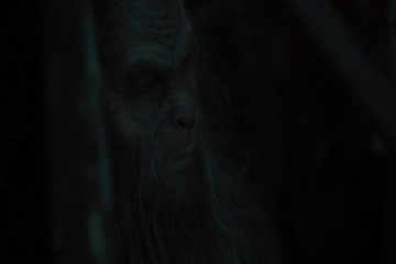 movie_title